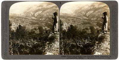 Una plantación de gusanos de seda en las montañas del Líbano, Siria, 1900s de Underwood and Underwood