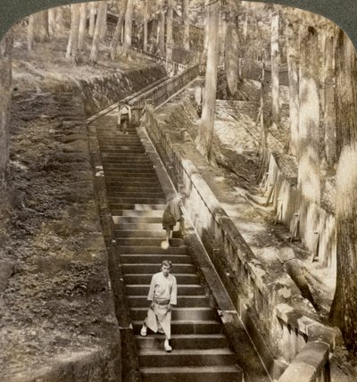 Antigua escalera de piedra que sube la colina hasta la tumba del Shogun Ieyasu, Nikko, Japón, 1904 de Underwood and Underwood