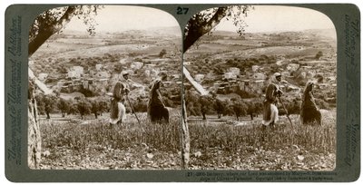 Betania, vista desde la ladera oriental del Monte de los Olivos, Palestina, 1899 de Underwood and Underwood