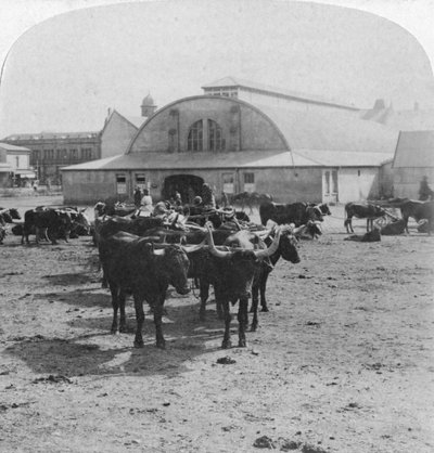 Edificio en el que se juzgó a los prisioneros de guerra, Pretoria, Sudáfrica, Guerra de los Bóeres, 1901 de Underwood and Underwood