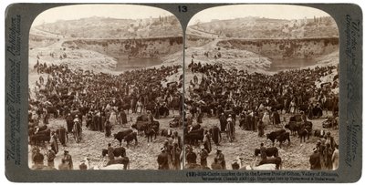 Día de mercado de ganado, en la piscina inferior de Gihon, Valle de Hinnom, Jerusalén, Palestina, 1900 de Underwood and Underwood