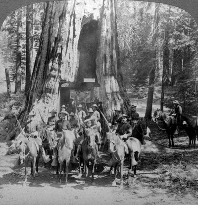 Caballería pasando por el gran árbol de California, California, EE.UU. de Underwood and Underwood