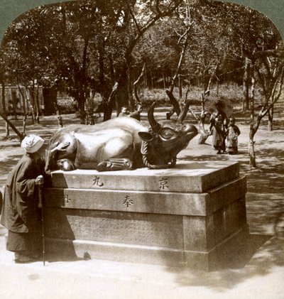 Mujer devota acariciando un toro de bronce para curar el reumatismo, templo Kitano Tenjin, Kioto, Japón, 1904 de Underwood and Underwood