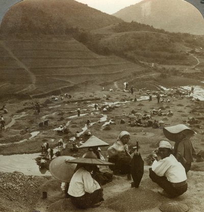 Dragado de un lecho de río en busca de rubíes, Mogok, Birmania, c. 1900s de Underwood and Underwood
