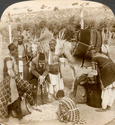Expertos comprando capullos de seda, para exportar a Francia, Antioquía, Siria, 1900s de Underwood and Underwood