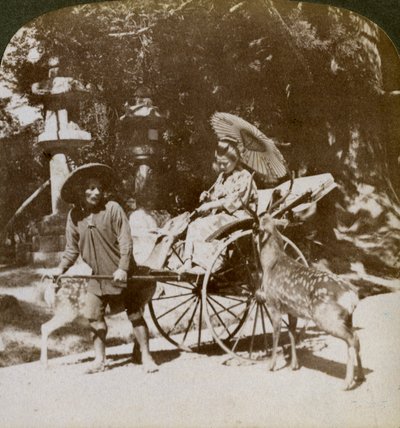 Niña alimentando ciervos sagrados en su camino a las oraciones, terrenos del Templo Kasuga, Nara, Japón, 1904 de Underwood and Underwood