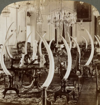Sala de colmillos, en la casa de Lady de Soysa, Bambalapitiya, Colombo, Ceilán, 1903 de Underwood and Underwood