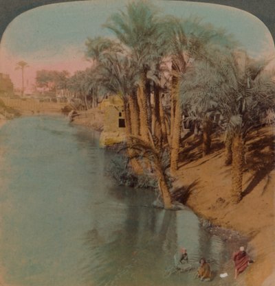 En el Fayum, el oasis más rico de Egipto en el río Bahr Yussef, 1902 de Underwood and Underwood