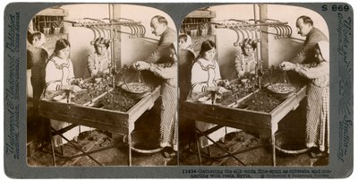 Fabricación de seda, Siria, 1900s de Underwood and Underwood