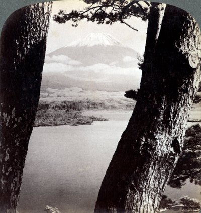 Monte Fuji, visto desde el noroeste, a través de pinos en el lago Motosu, Japón, 1904 de Underwood and Underwood