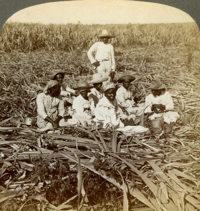 En la plantación de azúcar La Unión, San Luis, Provincia de Santiago, Cuba, 1899 de Underwood and Underwood
