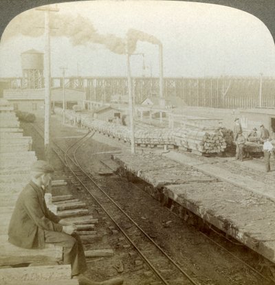 Planta y patios de maniobras de una empresa de preservación de madera, Escanaba, Michigan, EE.UU. de Underwood and Underwood