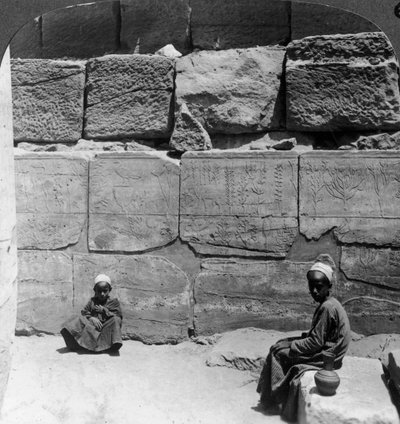 Plantas y animales traídos de Siria por los faraones, templo de Karnak, Egipto, 1905 de Underwood and Underwood