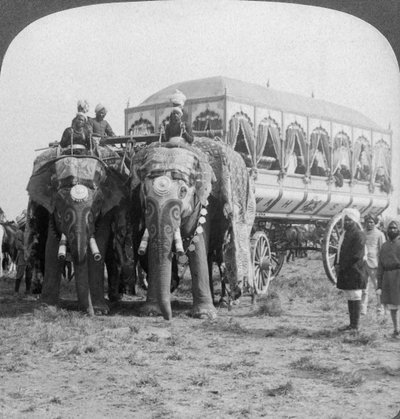 Elefantes ricamente adornados y carroza del Maharajá de Rewa en el Durbar de Delhi, India, 1903 de Underwood and Underwood