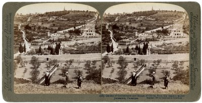 El Jardín de Getsemaní y el Monte de los Olivos, Palestina, 1908 de Underwood and Underwood