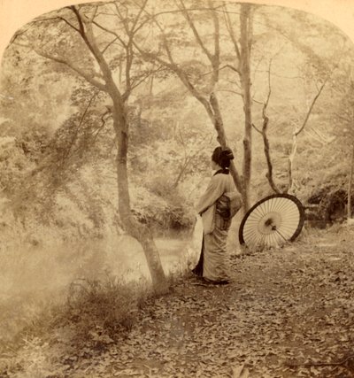 Los días dorados del otoño en Japón, 1896 de Underwood and Underwood