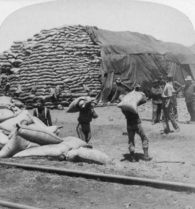 Toneladas de avena para el fiel amigo de Tommy, De Aar, Sudáfrica, Guerra de los Bóeres, 1900 de Underwood and Underwood