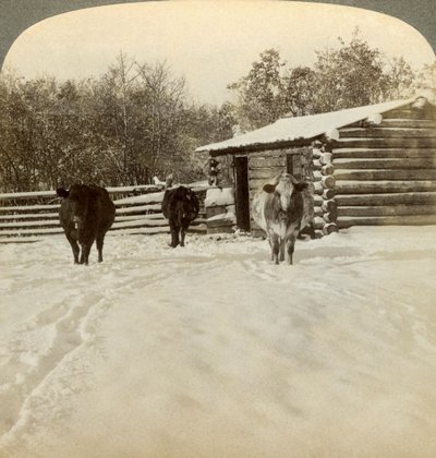 Invierno en un rancho, Montana, EE.UU. de Underwood and Underwood