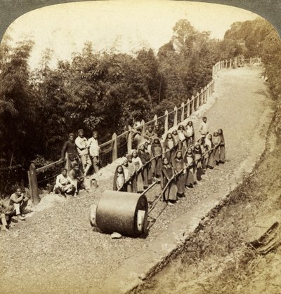 Mujeres trabajando en la carretera de Darjeeling, India de Underwood and Underwood