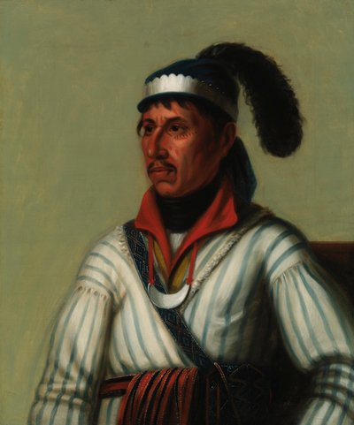 Apauly-Tustennuggee de Unidentified
