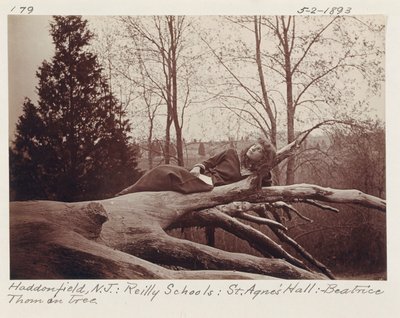 [Beatrice Thom en el árbol, Haddonfield, Nueva Jersey] de Unidentified