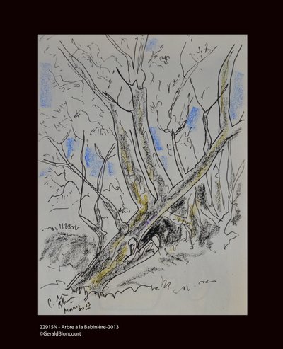 22915N - Árbol en Babiniere-2013 de Unknown