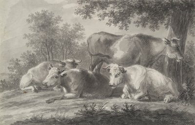 vacas descansando de Unknown