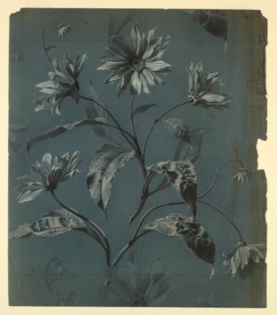 Diseño para papel tapiz o textil de flor tipo margarita con repetición de Unknown