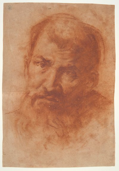cabeza de un hombre barbudo de Unknown