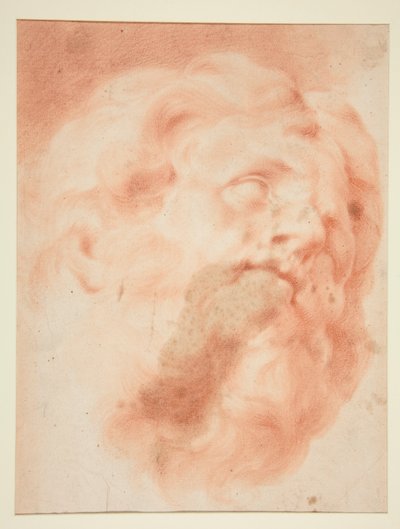 cabeza de un hombre con barba de Unknown