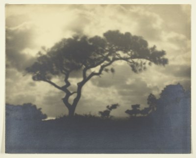 Sin título (Paisaje nublado con árbol) de Unknown