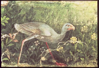 Pintura mural de un pollo sultán en un jardín, Pompeya, siglo I d.C. de Unknown