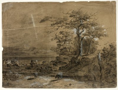 Paisaje arbolado con vacas en primer plano de Unknown