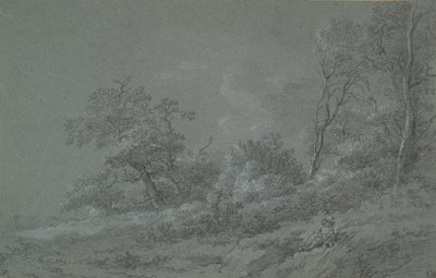 escena del bosque de Unknown