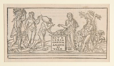 página de copia después de Francesco Colonna de Unknown