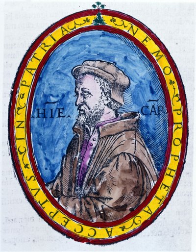 (Cardanus Hieronymus) Jerónimo Cardano en italiano Gerolamo Cardano, médico, matemático, filósofo y astrólogo italiano (Pavía) de Unknown artist