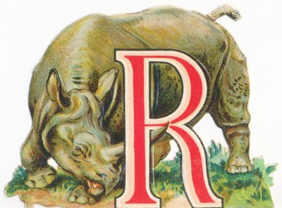 A: Rinoceronte de Unknown artist