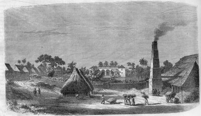 Una fábrica de dulces en la isla de Cuba en 1869. de Unknown artist