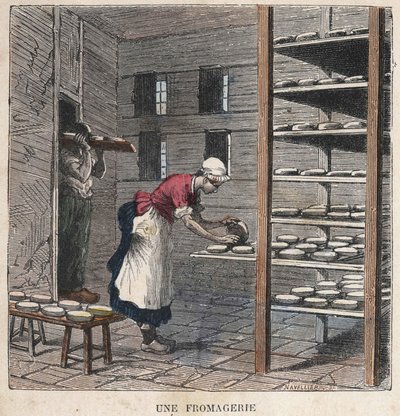 Una fábrica de queso. Ilustración del siglo XIX. Colección Bianchetti de Unknown artist