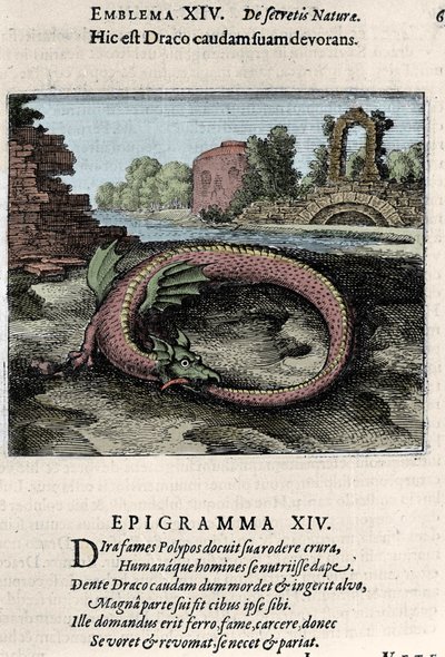 Un dragón batiendo su cola (o Ouroburo (?)). Lámina tomada del tratado de alquimia “Atalanta fugiens hoc est Emblemata nova de secretis naturae chymica” de Michel Maier (1568-1622) de Unknown artist