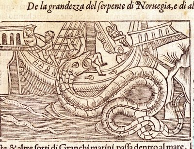 Una serpiente marina gigante ataca un barco y golpea a su tripulación. Grabado de Olaus Magnus (1490-1557), religioso y geógrafo sueco, “Historia de Gentis Septentrionalibus”, Venecia de Unknown artist