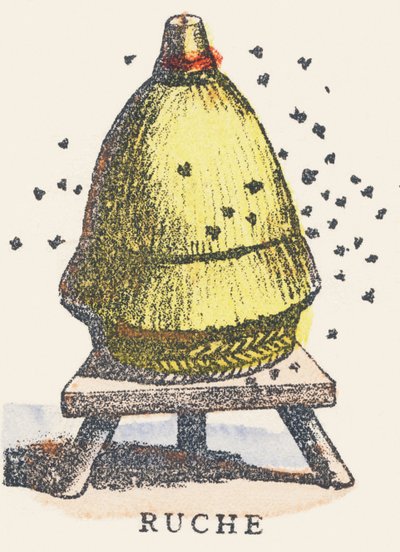 A: colmena de Unknown artist