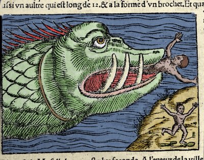 Un monstruo marino ataca a un nadador cerca de la costa de Noruega. Grabado de Olaus Magnus (1490 - 1557), religioso y geógrafo sueco, 