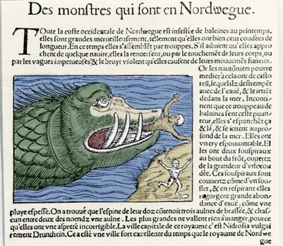 Un monstruo marino ataca a un nadador cerca de la costa de Noruega. Grabado de Olaus Magnus, “Historia de Gentis Septentrionalibus”, Venecia de Unknown artist
