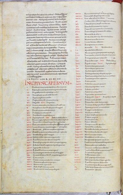 Página de la Biblia del siglo XI con el capítulo incipit del Libro de los Números de Unknown artist