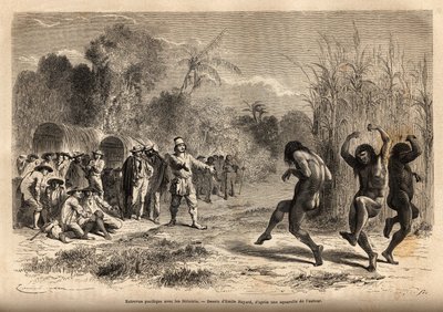 Entrevista pacífica entre la expedición del autor y algunos indios Siriniris (tribu de Perú, en la frontera boliviana). Grabado para ilustrar el viaje de Unknown artist