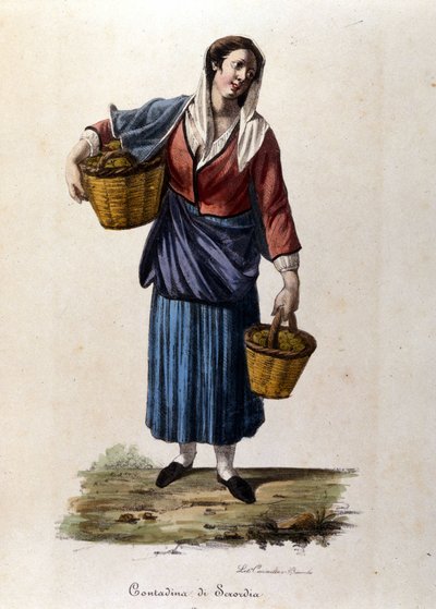 Un campesino de la ciudad de Scordia en Sicilia de Unknown artist