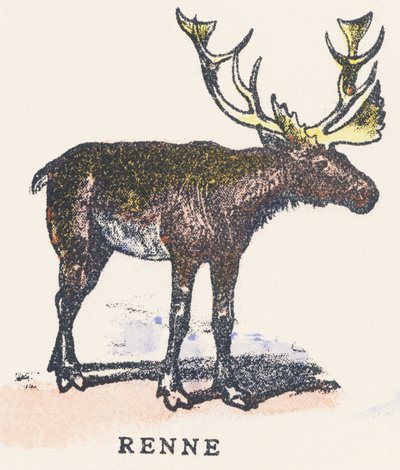 A: reno de Unknown artist