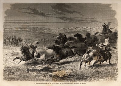 Un rodeo en Lauramarca (Bajo Perú), la captura de caballos salvajes, antes de su marcaje con las iniciales del dueño de la región, considerado como un espectáculo completo, muchos curiosos se reúnen. Grabado para ilustrar el viaje en los valles de Quinquin de Unknown artist