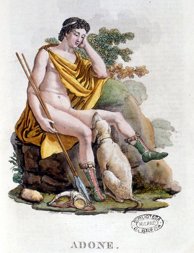 Adonis. Dios griego de origen fenicio. Grabado del siglo XIX. Biblioteca Nacional Braidense. Milán de Unknown artist
